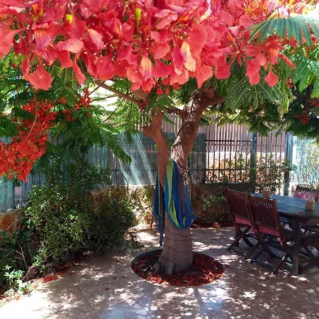 Bungalow Con Flamboyan En Maspalomas * Плайя-дель-Інглес