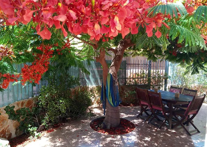 Bungalow Con Flamboyan En Maspalomas * Πλάγια ντελ Ινγκλές